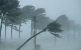 خسارت طوفان به دامداری‌های اقلید