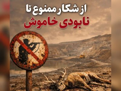 از شکار ممنوع تا نابودی خاموش